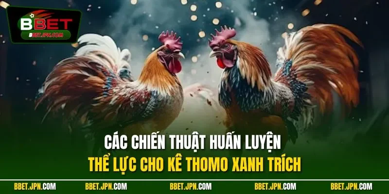 Các chiến thuật huấn luyện thể lực cho kê thomo xanh trích