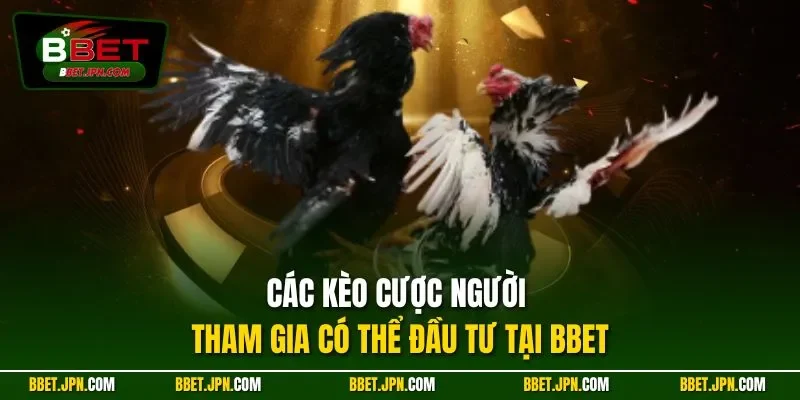 Các kèo cược người tham gia có thể đầu tư tại BBET