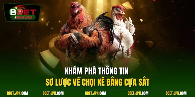 Khám phá thông tin sơ lược về chọi kê bằng cựa sắt