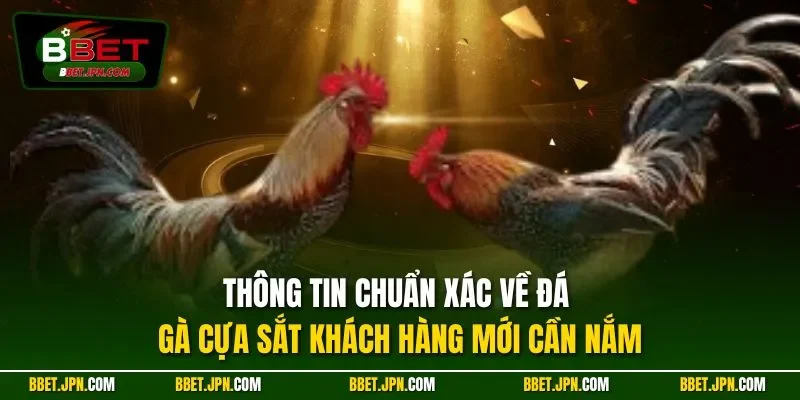 Thông tin chuẩn xác về đá gà cựa sắt khách hàng mới cần nắm